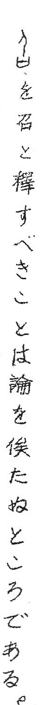 sirakawamesu2p66.png(27679 byte)