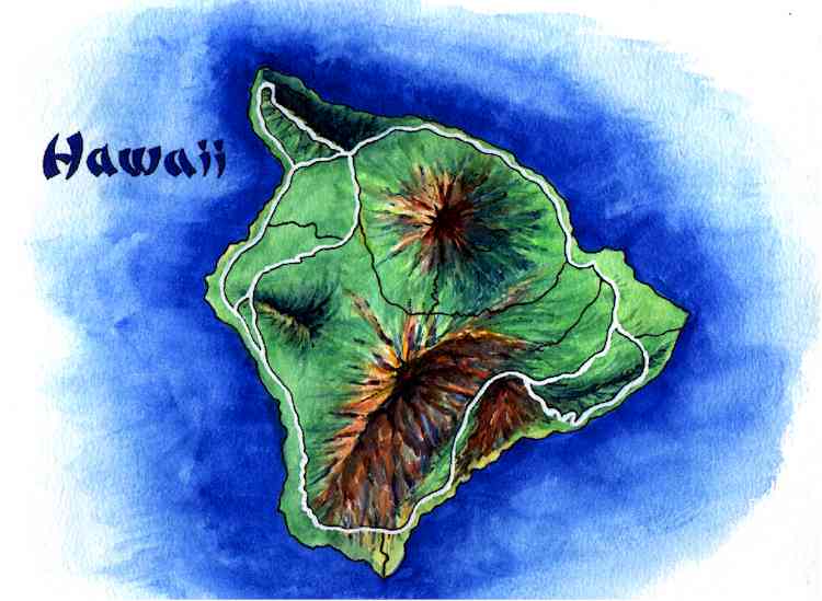 ���j���[